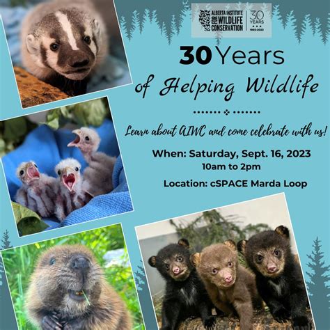 30 Years of Helping Wildlife – Alberta Institute for Wildlife Conservation - GlobalNews Events