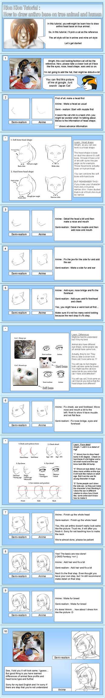 Image result for Anthro Drawing Tutorial