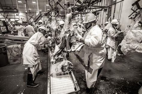 Image result for Beef Processing Process