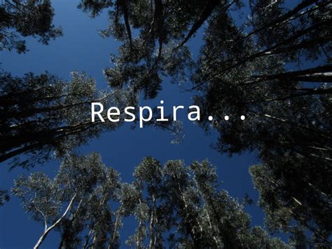 La importancia de la respiración consciente