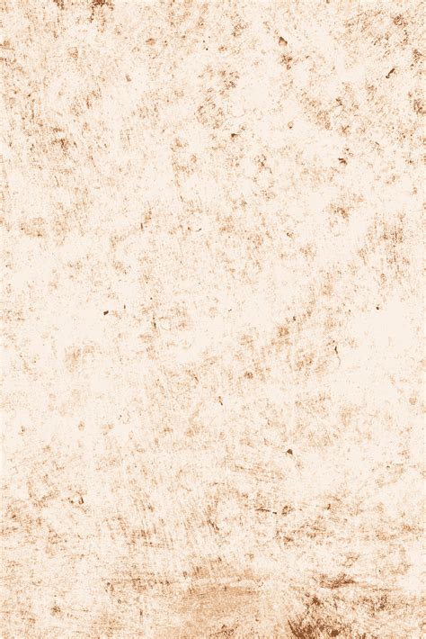 From Tissues to the Organelles: State of the Art in Morphological ...