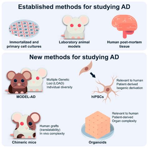 An Overview of Astrocyte Responses in Genetically Induced Alzheimer’s ...