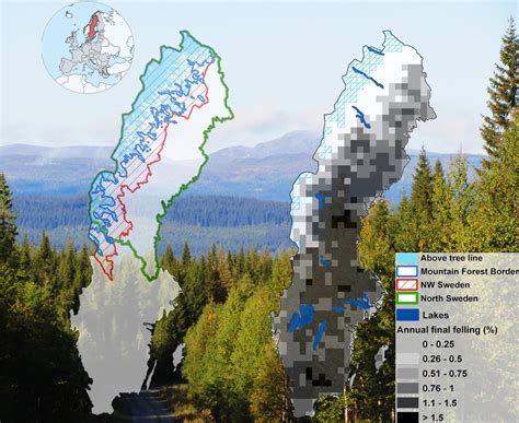 European Union’s Last Intact Forest Landscapes are at A Value Chain ...
