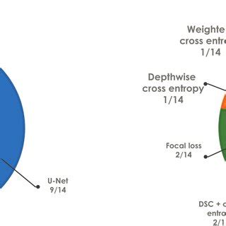 Image result for Decathlon Brain Segmentation Code