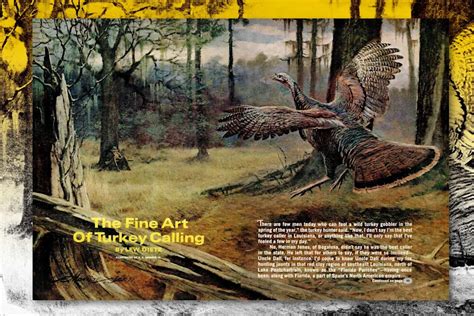 Image result for Spring Turkey Calling Tips