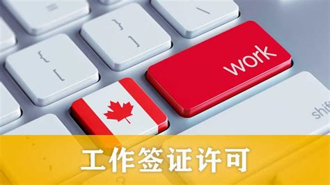 如何获得加拿大工作签证Work Permit | 看了这集视频你就知道了 | 带你详细了解获得加拿大工作签证的几种途径