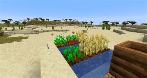 Top 5 Best Food Farms In Minecraft (Updated 2025)