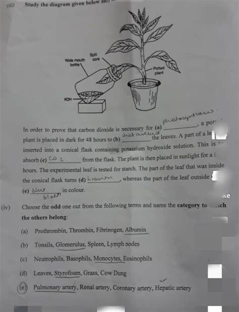 ICSE 2024 Biology Question Paper, with Solved Exam Paper