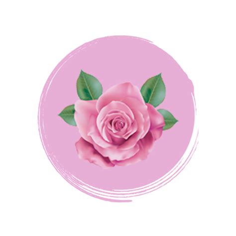 Buy Tea & Coffee Online in India at Best Price | Chaiwala Ki Chaipatti ...