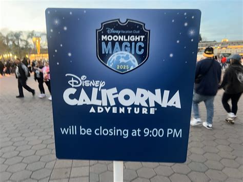 Our Experience at Disney California Adventure's Moonlight Magic Event ...