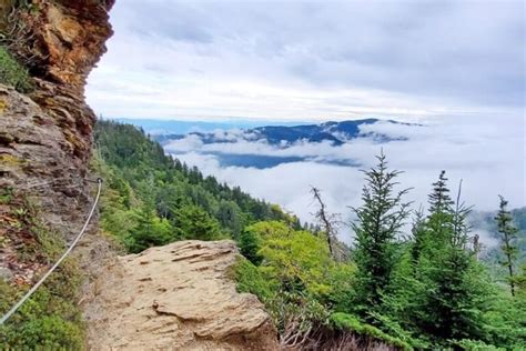 Mount LeConte hike ⛰ What is the best trail to get to Mt LeConte summit ...