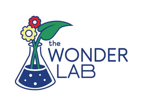 Image result for Walmart Wonder Lab.com
