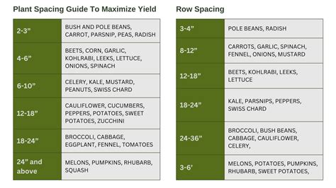 Space Between Plants 的图像结果