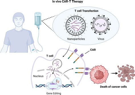 Advancements and challenges in developing in vivo CAR T cell therapies for cancer treatment ...