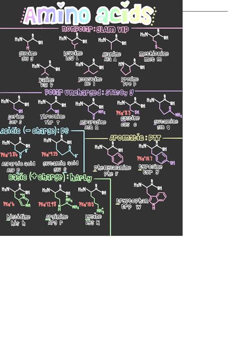 Summary amino acids cheat sheet - MCAT - Stuvia US