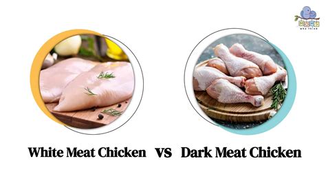 Unveiling the Calories in Roasted Chicken Dark Meat Without Skin!