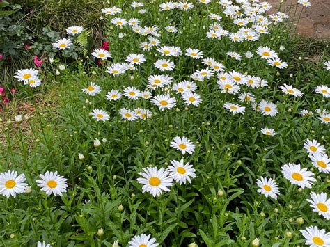 GRAMADO SUL TURISMO (2026) All You Need to Know BEFORE You Go (with ...