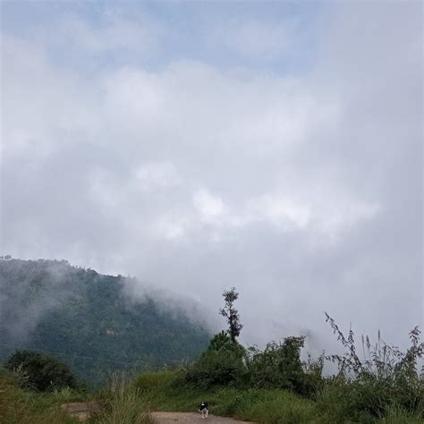 CHIRPING CHIDIYA (Nainital District) - Guesthouse Reviews & Photos ...