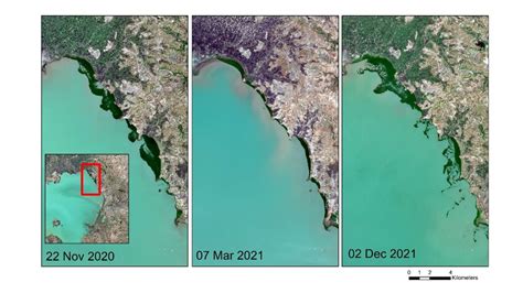 Image result for Sentinel 2 Data