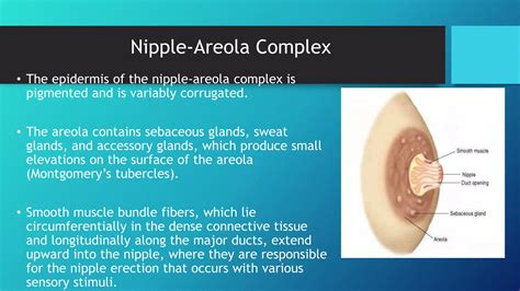 Benign breast lesions | PPTX
