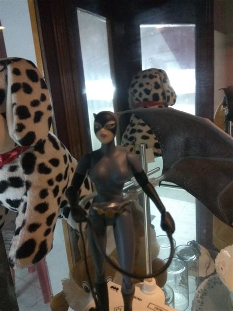 DC Collectibles Batman The Animated Series Cat Woman Action Figure ...