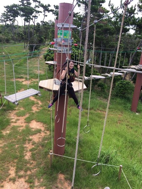 Forest Adventure 的图像结果