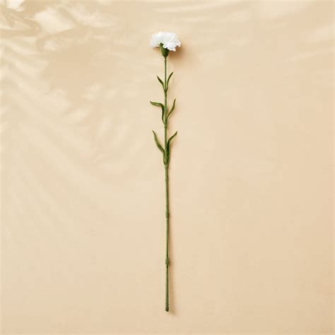 Buy Botanical Florid Artificial Carnation Flower Stick - 60cm from Home ...
