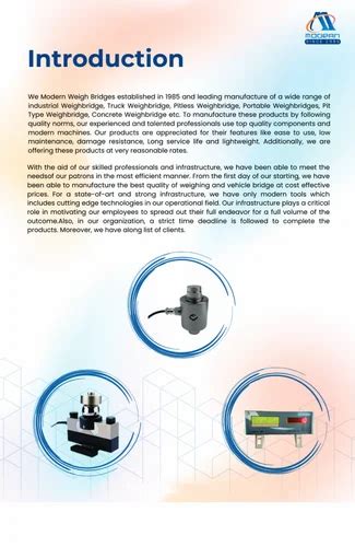 Electronic Weighbridge and Pitless Weighbridge Manufacturer | Sri ...