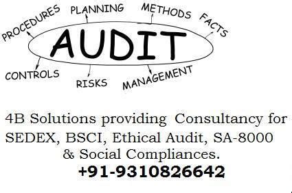 Walmart FCCA, SCS audit, Factory Ethical & Quality audit consultant in ...