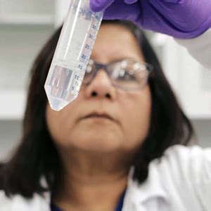 Optimum Nutrition (ON) 100% Whey Protein Powder - 1.85 lbs (Chocolate ...