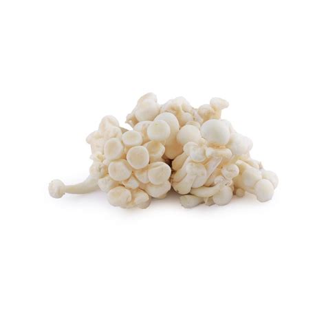 Exotic Vegetables: Buy Exotic Vegetables Online at Your Convenience ...