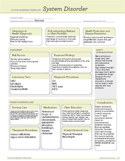 Ati System Disorder Template Seizures, Includes an example nursing ...