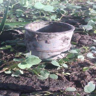 Image result for Soil Collection