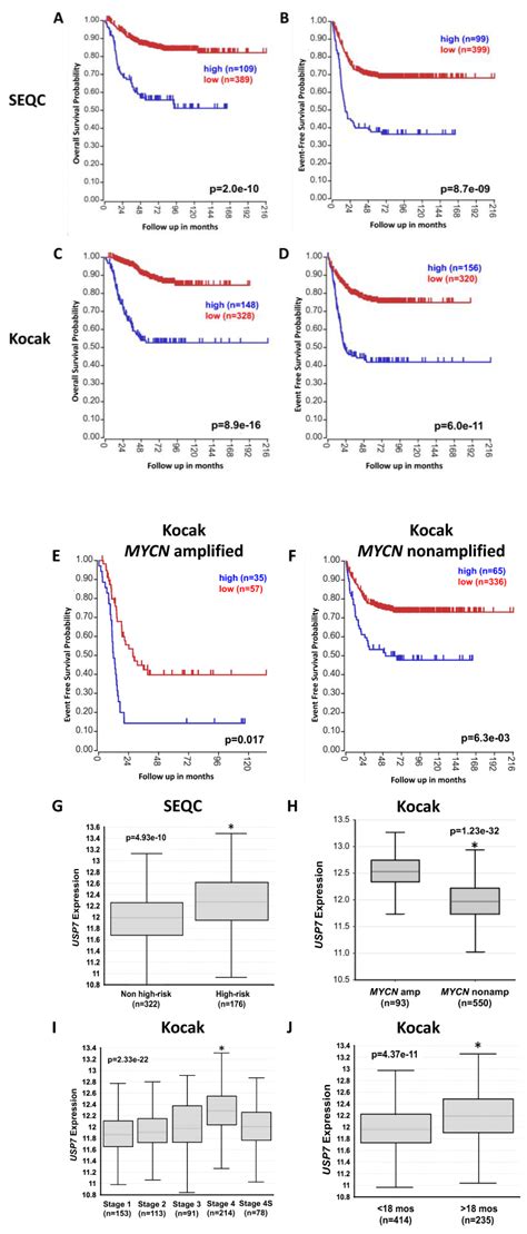 USP7 Inhibition Suppresses Neuroblastoma Growth via Induction of p53 ...