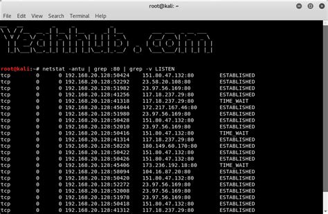 Image result for IP Config Netstat