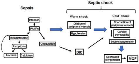 The Role of Peroxiredoxins in the Regulation of Sepsis