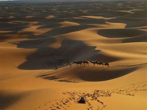 Merzouga Experience - Day Tours - 2022 What to Know Before You Go (with ...