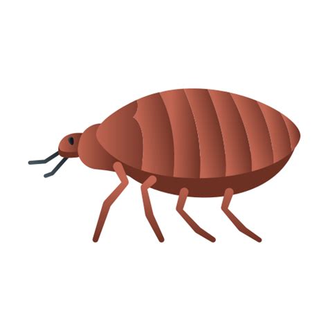 Bedbug - Free animals icons