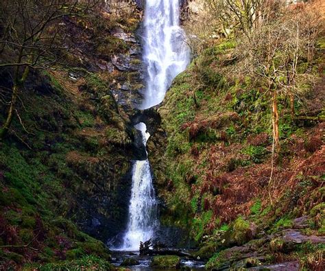 THE 30 BEST Places to Visit in Powys (2025) - Must-See Attractions