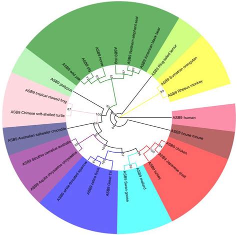 Molecular Characterization, Expression Profile, and A 21-bp Indel ...