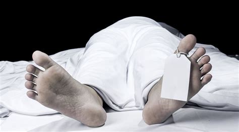 Decomposition Human Process 的图像结果