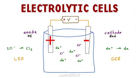 Image result for Simple Electrolytic Cell
