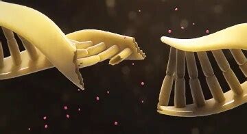 Mechanism of Action | Xofigo® (Radium Ra 223 Dichloride) | For HCPs