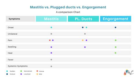Plugged Milk Duct Vs Mastitis