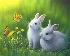 Image result for Rabbit Paintings Flowers