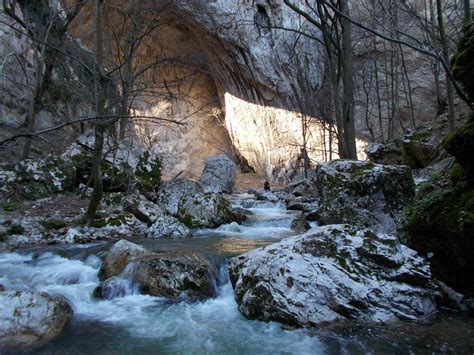 THE 10 BEST Places to Visit in Negotin (2026) - Must-See Attractions