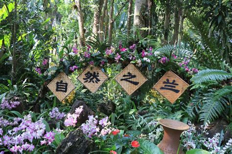 版纳植物园开展“我的兰花朋友”幼儿科普活动----中国科学院西双版纳热带植物园