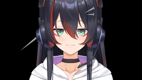 Image result for Python Pygame Ideas Simulator