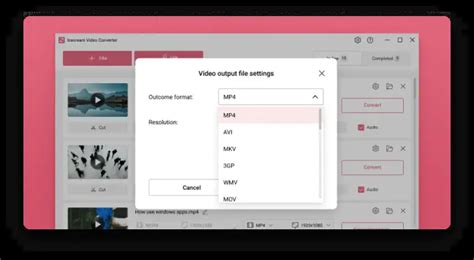 Video Format Converter 的图像结果