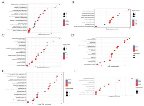 TMT and PRM Based Quantitative Proteomics to Explore the Protective ...